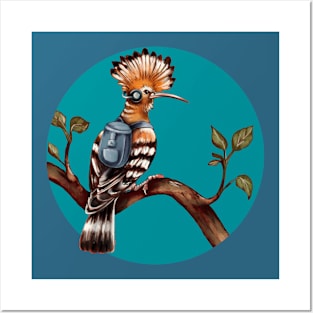 a stylized hoopoe bird Posters and Art